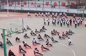 小机器人会梦见自己在末日种田吗？剧情驱动向农场模拟经营游戏《地球上的罗伯特》将于8月15日登陆Steam平台