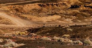 恒大国脚做青训直面现实：想踢职业的孩子少了